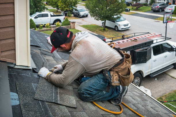 Professional Storm Damage Roof Repair technician working in Elwood, KS